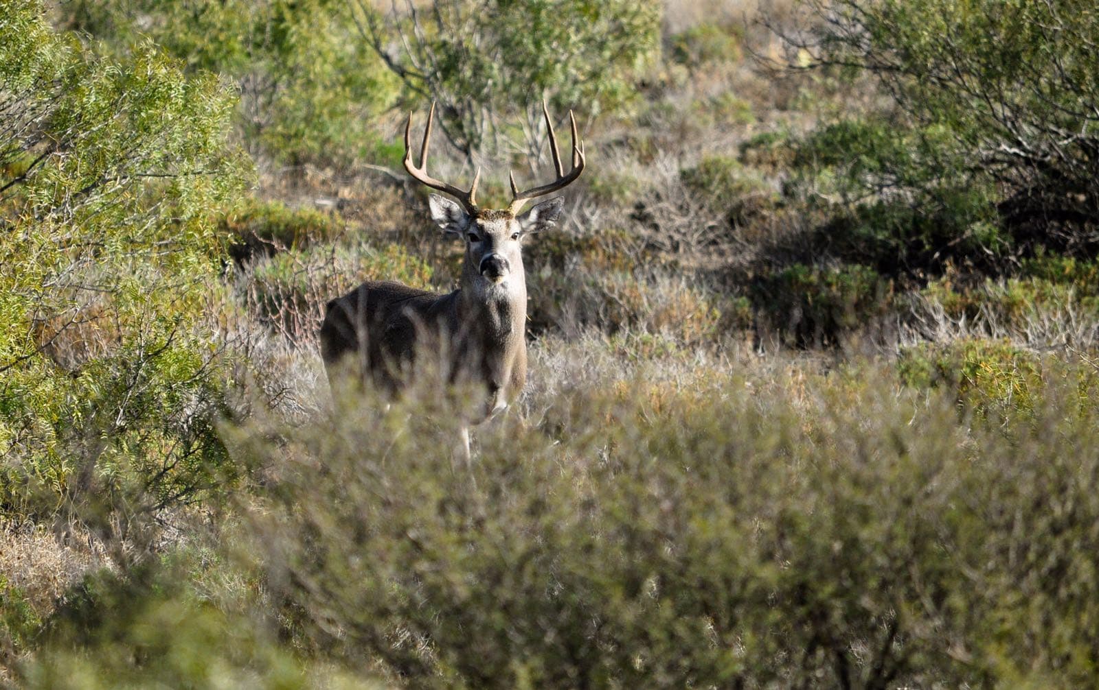 Friends gathered on a Polaris off-road vehicle, enjoying a sunny afternoon by the lake at the ranch.