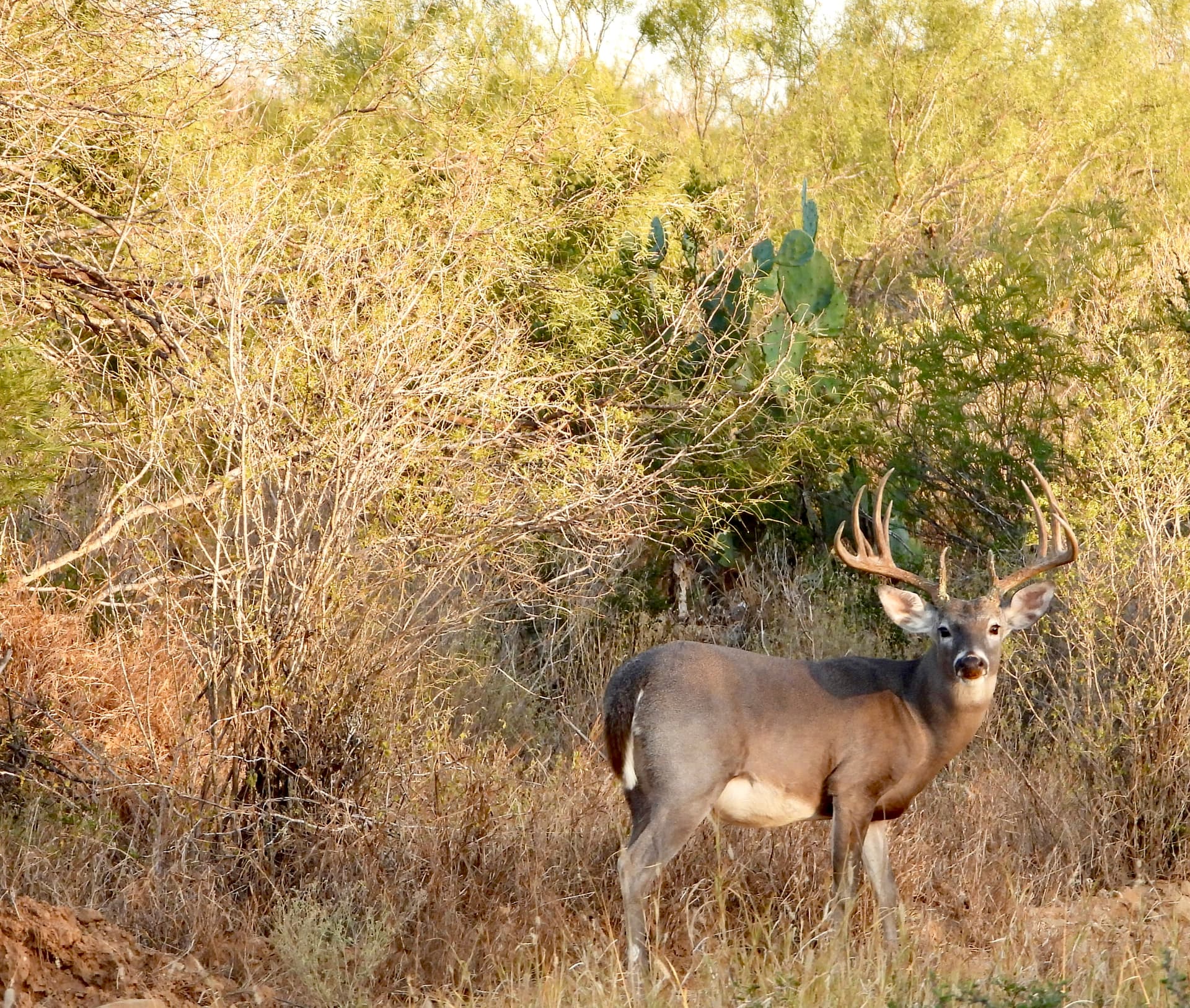 Two kids smiling proudly with their catch by the lake, both wearing El Estribo branded caps.